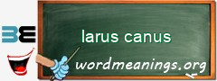 WordMeaning blackboard for larus canus